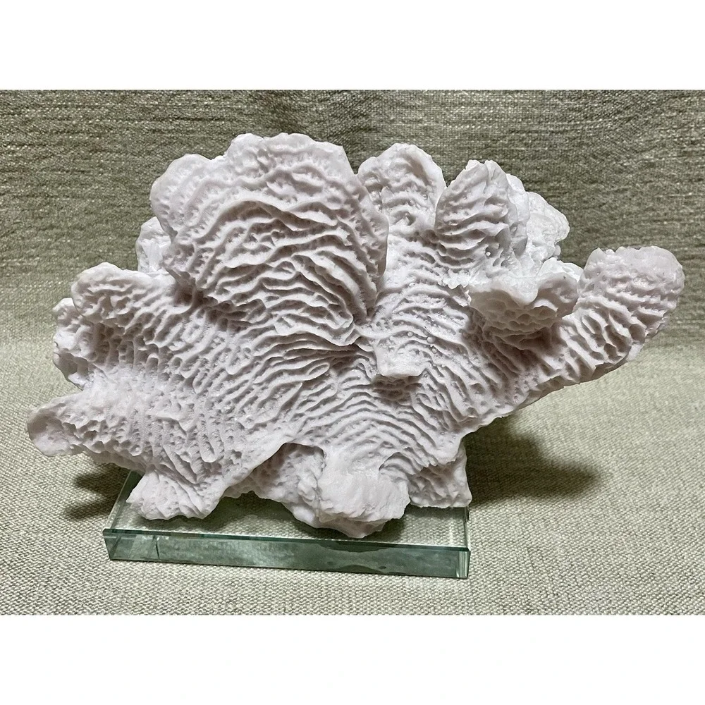 Faux White 9